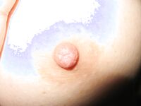 露臉才是王道！我和情婦的那些年 人前高冷嚴厲風韻人妻銀行女經理從婚前到婚後各種不雅自拍