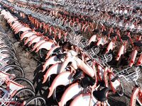 出山就封神！推特超強SM大神【奴印文化】五位御用極品反差女奴推特勁爆調教原版無水印小雲朵-xiaoyunduoya