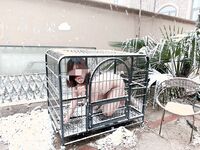 出山就封神！推特超強SM大神【奴印文化】五位御用極品反差女奴推特勁爆調教原版無水印小雲朵-xiaoyunduoya