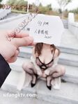蜂腰肥臀尤物反差婊~極品吊鍾巨乳人妻想想私拍視圖戶外野戰人前露出調教啪啪呻吟好聽直叫爸爸