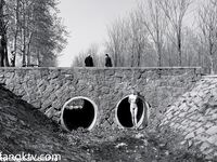 超高質量8位露出博主福利最新私拍甄選 全裸戶外勾引 爆操蜜桃臀《強烈推薦》高清NakedPublic