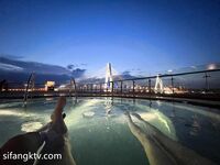 【精品推荐】极品骚气淫荡母狗 开发露脸露点的高颜值女神