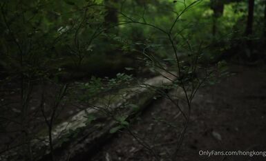 森林-第一集-相遇