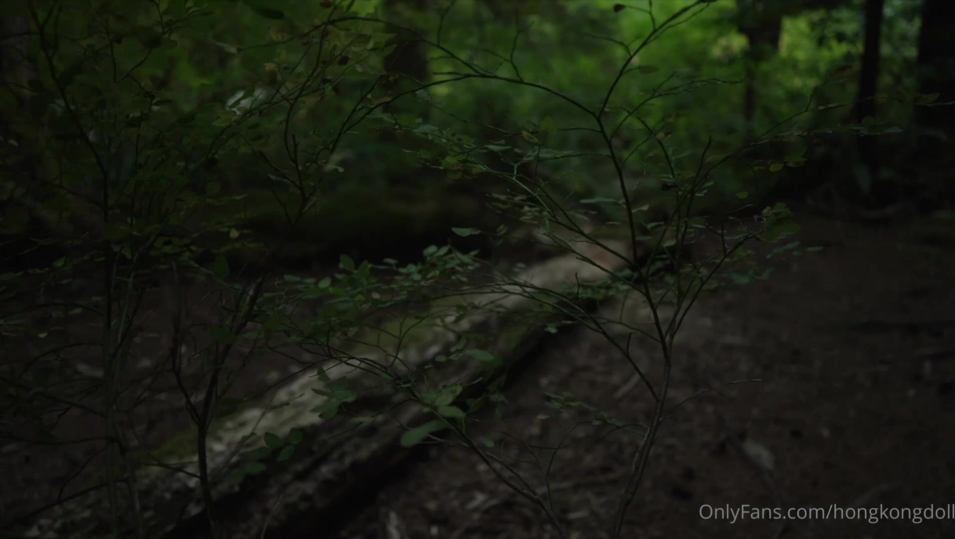 森林-第一集-相遇