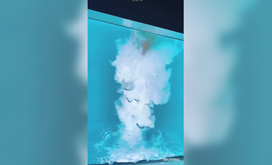 超人氣大神『王動』2022最新重磅私拍 全新嫩模 全裸出鏡 情色藝術完美結合 高清 (4)