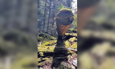 超人氣大神『王動』2022最新重磅私拍 全新嫩模 全裸出鏡 情色藝術完美結合 高清 (1)