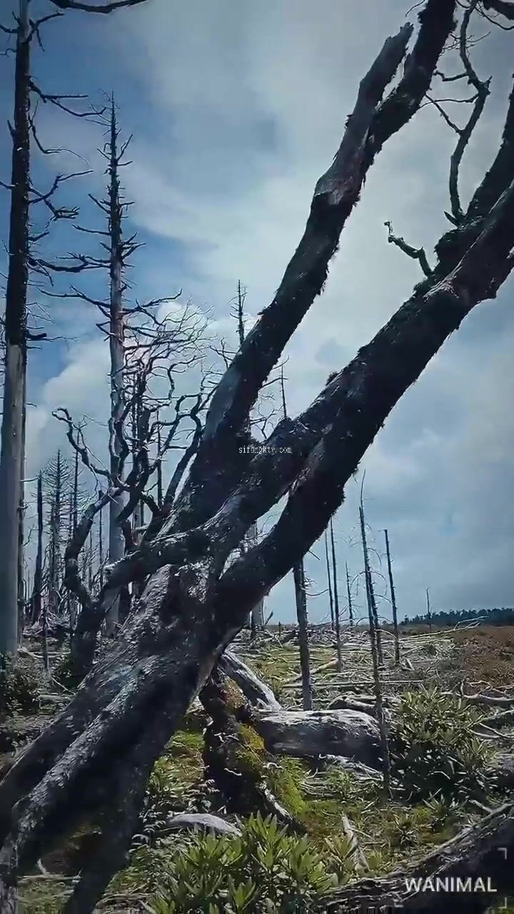 超人氣大神『王動』2022最新重磅私拍 全新嫩模 全裸出鏡 情色藝術完美結合 高清 (1)