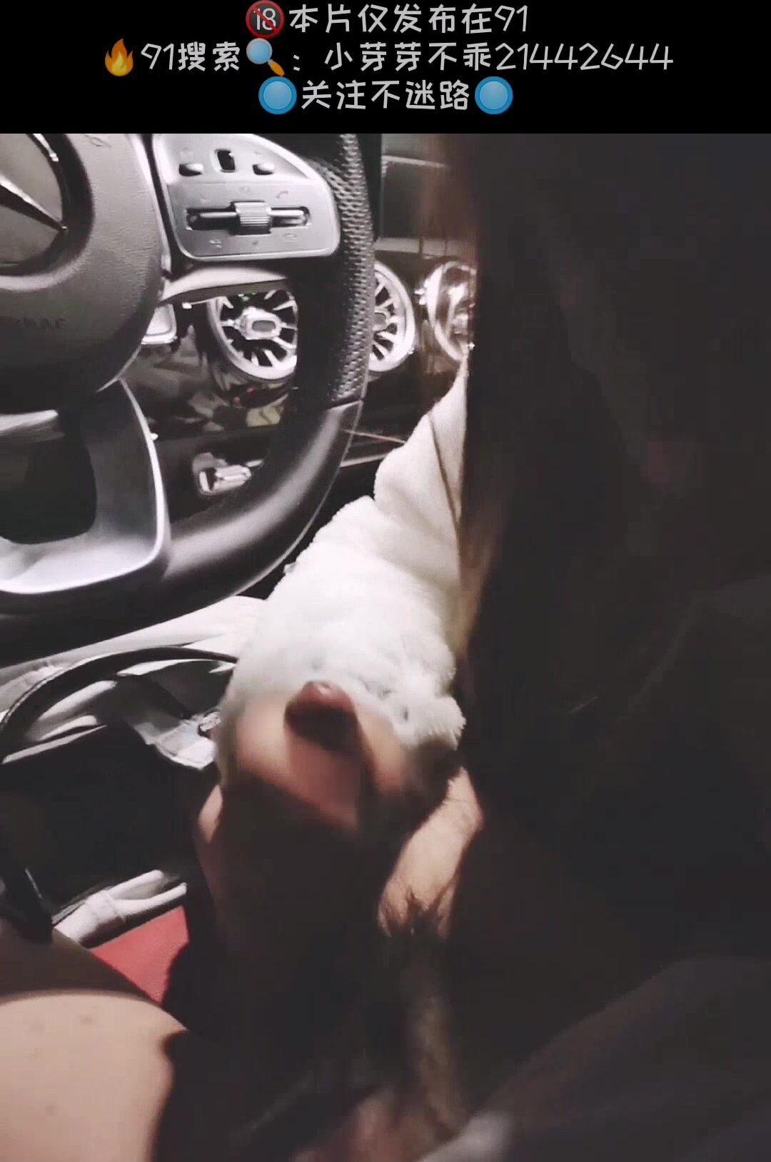 雙馬尾蘿莉『芽芽不乖』十月最新性愛私拍 和粉絲哥哥戶外車震 無套內射兩次 (23)