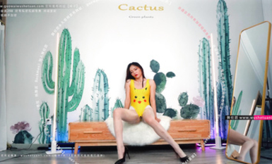 熱舞派 瑤瑤VIP版 漏毛露點艷舞 多角度完整加密破解 4k合集 (24)