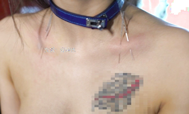 宗師級玩家SM界塔尖反差婊女奴【張婉依】地獄式重度調教乳頭穿釘、抽逼、電擊各種整活 (16)