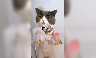 宗師級玩家SM界塔尖反差婊女奴【張婉依】地獄式重度調教乳頭穿釘、抽逼、電擊各種整活 (17)