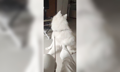 兩位高顏值COS女神『木之本瀾+桃谷若姬子』最新大尺私拍 各式動漫女神 美乳粉穴 高清 (15)