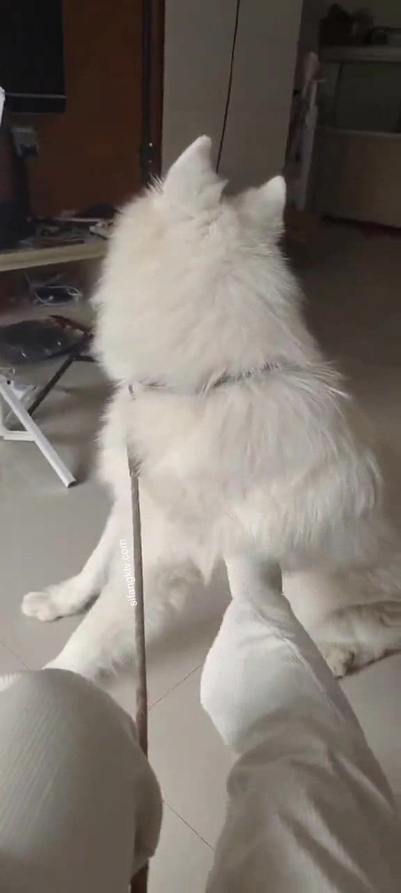 兩位高顏值COS女神『木之本瀾+桃谷若姬子』最新大尺私拍 各式動漫女神 美乳粉穴 高清 (15)